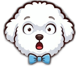 bichon