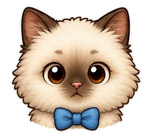 Ragdoll